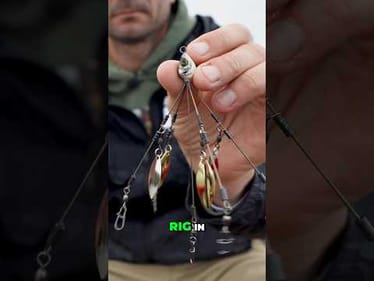How to fish an Alabama Rig (Umbrella Rig)