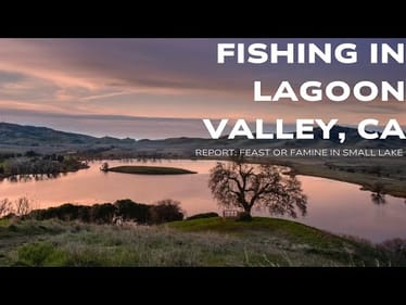 Are there fish here?? LAGOON VALLEY PARK, CA - FISHING REPORT