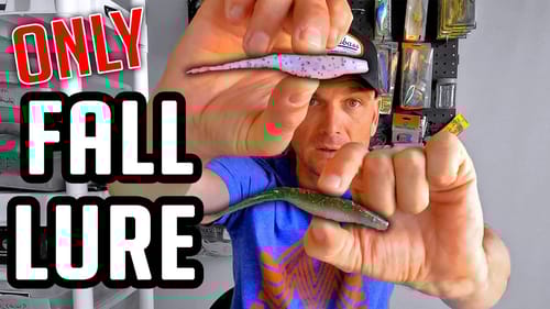The ONLY Lure you NEED for FALL Bass