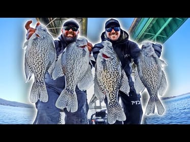 How To Catch MONSTER CRAPPIE Fishing JIGS on BRIDGES! (LOADED)