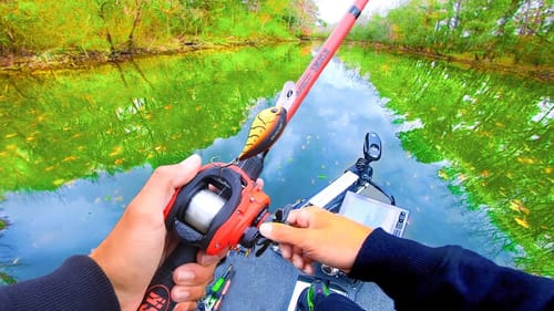 Fishing HIDDEN Backwaters for GIANT Bass (Fishing for River Monsters Ep.2)