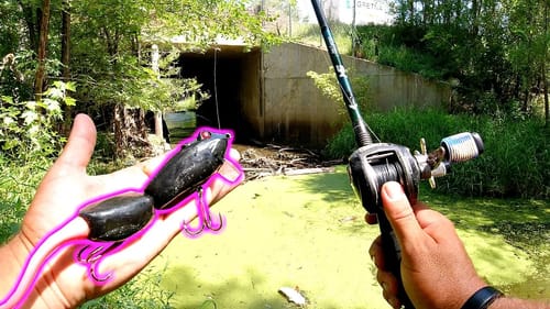 Urban Creek Bass DESTROY 10" Topwater Rat Bait!!!
