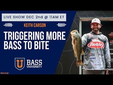 Keith Carson | Triggering Bass to Bite - Bass University Live #393