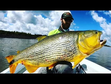 THEY HIT on TOPWATER!!