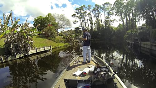 Bass Bed Fishing Strategies