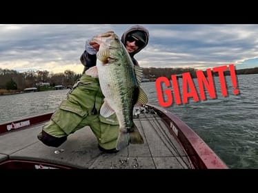 THREE Giant Bass Get me The WIN!! Winter Series 3