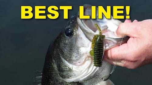 The Best Fishing Lines for Texas Rigs | How To | Bass Fishing