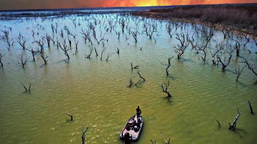Bass Fishing HEAVEN?! Flooded Forest is LOADED w/ Angry Fish!