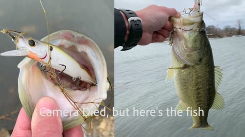 FISH EVERY CAST! (almost) Epic Day of Subfreezing Bass Fishing!!