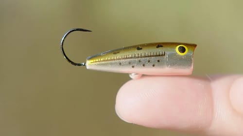 SMALLEST Popper in the WORLD!!!