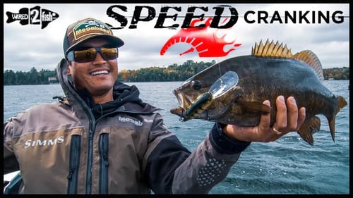 5 Crankbait Tips to Catch More Suspended Bass This Fall