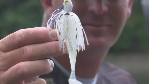 Summer Swim Jig Fishing: Tips and Techniques That Work! | Bass Fishing