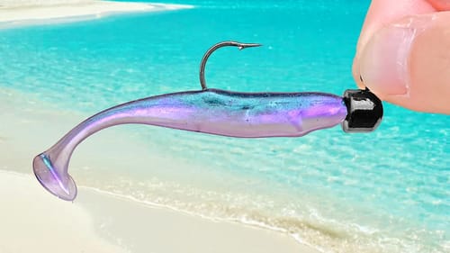 Soft bait Fishing a Tropical Island