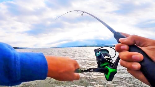 Fishing FAMOUS LAKE GUNTERSVILLE For BIG BASS! (EPIC DAY)