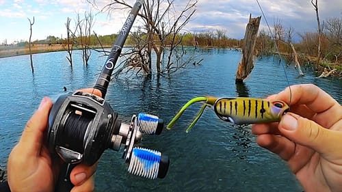 EXPLOSIVE Topwater Bite in a FLOODED Forest! (New Bait)