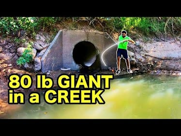 This MONSTER was in a CITY CREEK?!