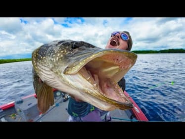 Fishing For GIANT Toothy Fish Lurking In The Grass