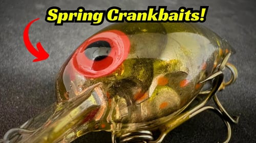 The EXACT Crankbaits I Use During The Spring!