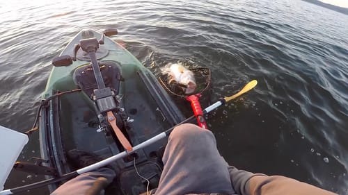 8lb bass on Deps 250