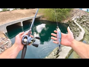 I Caught A GIANT Fish From This Tiny Pond!