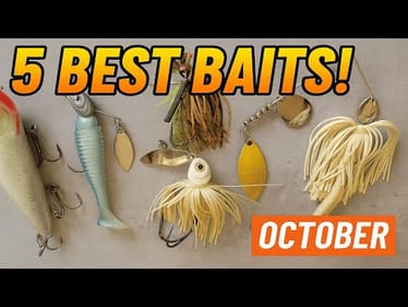 The 5 Best Baits for Bass Fishing in October – You NEED These! | Bass Fishing