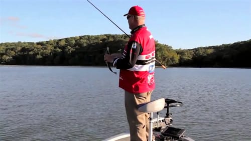 Dealing with Too Much Bait While Bass Fishing in the Fall