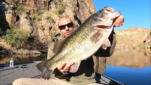 BIG BASS Factory In ARIZONA