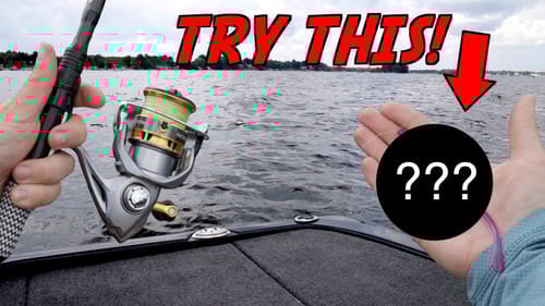The #1 Lure For Summer Bass Fishing!
