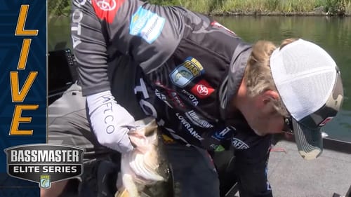 Arey's key afternoon cull on Day 2