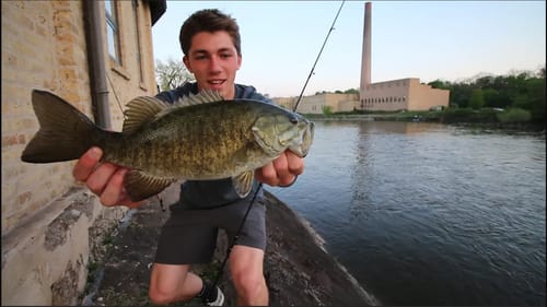 Urban Smallmouth Bass & How NOT To Organize Your Car -- VLOG