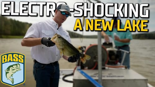 Bassmaster's Lake Y Project: Electroshocking to survey fish population