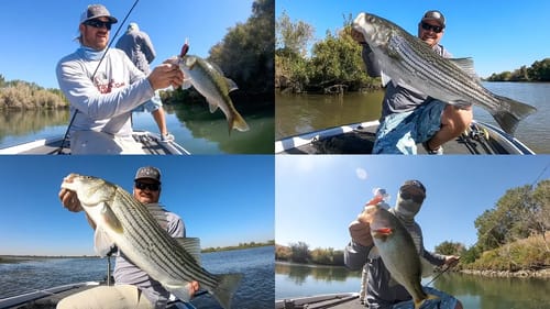 4 Kinds Of Bass! Crazy Day! IGFA Super Grand Slam