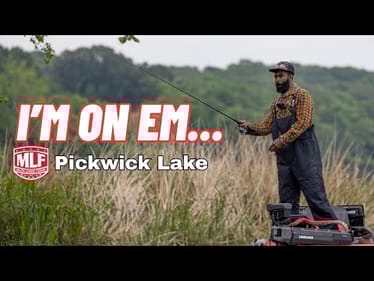 The Secret Pattern On Pickwick Lake -  MLF Practice Vlog