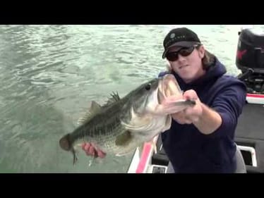 11 Pound Bass Released