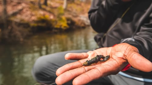 Flipping and Pitching for bass with non-traditional soft plastics