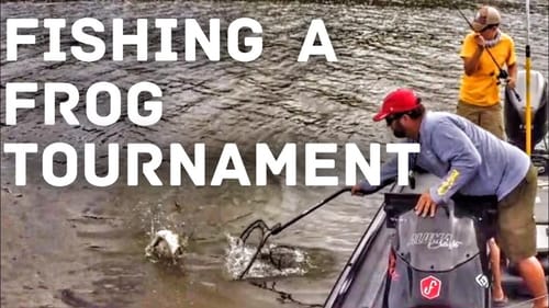 Topwater Bass Fishing - The Spro Frog Only Tournament