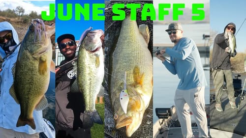 Try These 5 Japanese Baits To Catch More Fish This Summer! // Staff 5 June