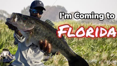 Bass Fishing In Florida Made Easy - YOU’RE INVITED!