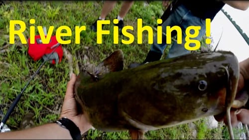 Mississippi River Fishing Adventure
