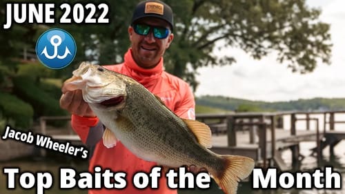 Jacob Wheeler's Top Bass Fishing Lures of the Month - June 2022