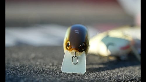 Keys to Crankbaits for Bass