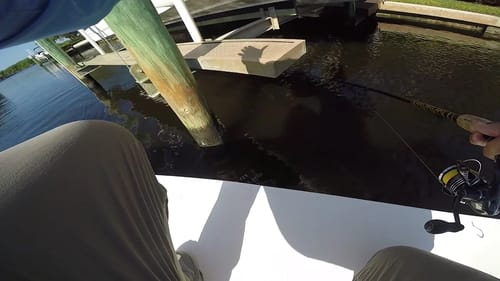 Getting Dragged Through Docks by a Biggin'
