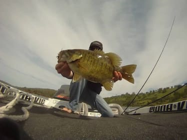 Sight Fishing a Big Smallmouth