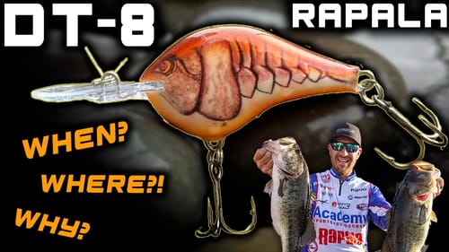 Rapala DT-8: Bait Breakdown, Depth Test & Tricks