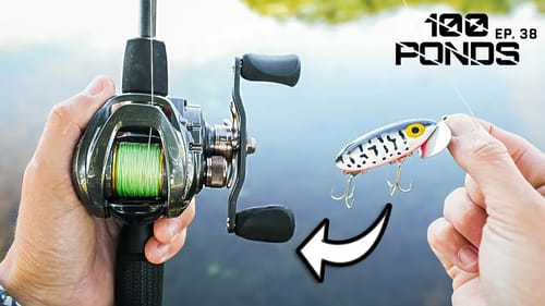Fishing Old Fashioned Topwater In Ponds! (100 Ponds Ep. 38)
