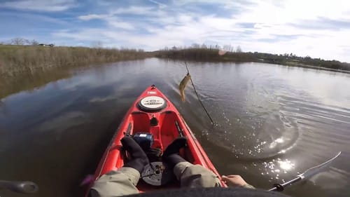 Bass Fishing Sycamore Island 2017 (8lb Bass)