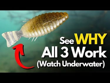 3 Best Rigs/Lures When Bass WON'T Bite (2 KEY Factors)