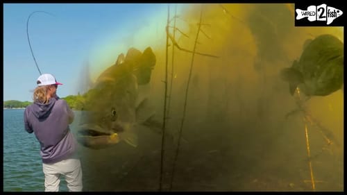 How to Set the Hook While Flipping Grass