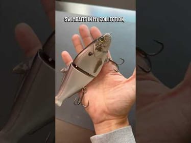 100 Baits In 100 Days - Day 36 FMTC Snitch Swimbait #fishing #swimbait