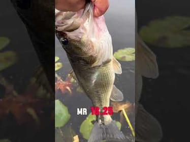 Caught Her In 48 Degree Water 🥶